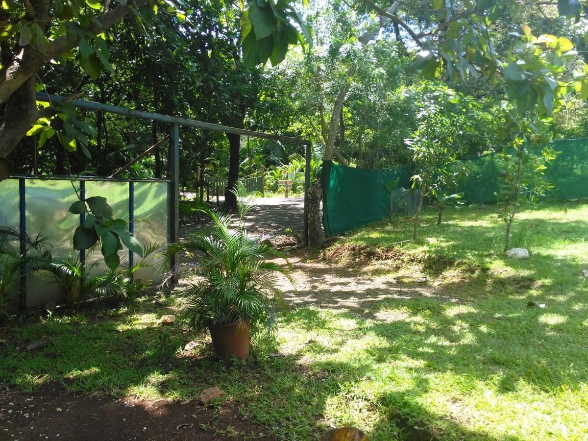 Cabinas Jojola Hotel Guanacaste Exterior photo